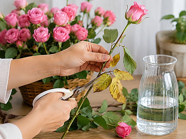 cách giữ hoa tươi lâu - tỉa lá úa trước khi cắm