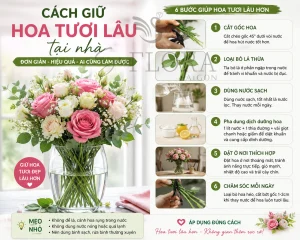 Cách giữ hoa tươi lâu tại nhà với 6 bước đơn giản giúp hoa luôn tươi đẹp và lâu héo hơn